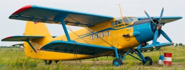 На Ковельщині розпочали імунізацію диких тварин На Ковельщині розпочали імунізацію диких тварин