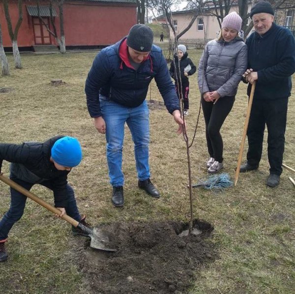 У Ковелі учні, вчителі та батьки садили фруктові дерева у шкільному саду ФОТО У Ковелі учні, вчителі та батьки садили фруктові дерева у шкільному саду ФОТО