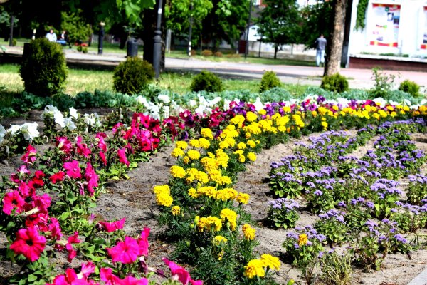 Комунальники дбають про благоустрій у Ковелі