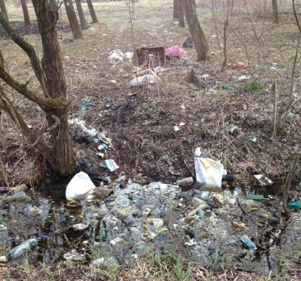 Небайдужі ковельчани під час ранкових пробіжок прибирають береги Турії від сміття Небайдужі ковельчани під час ранкових пробіжок прибирають береги Турії від сміття
