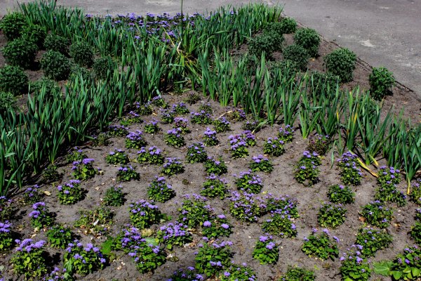 Комунальники дбають про благоустрій у Ковелі