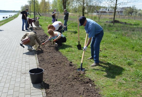 Як у Ковелі минув День довкілля?