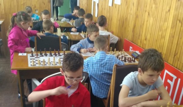 Юні шахісти з Ковеля - чемпіони та призери обласного турніру Юні шахісти з Ковеля - чемпіони та призери обласного турніру