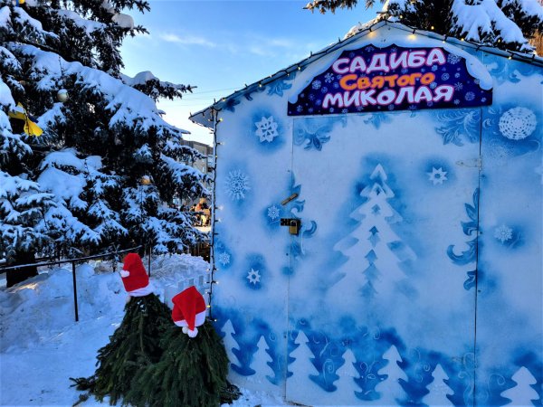 У національних кольорах: у Ковелі урочисто відкрили головну ялинку громади