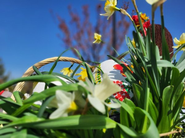 У Ковелі в парку Шевченка встановили Великодні композиції. Фото