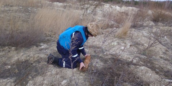 На Ковельщині сапери знешкодили 25 боєприпасів часів минулих воєн