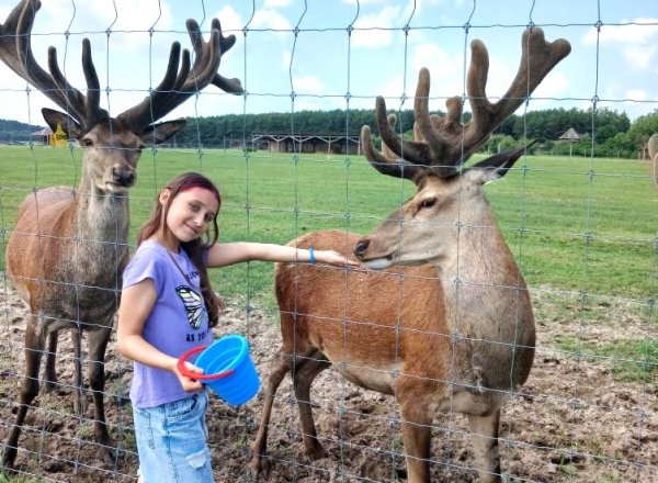 Діти загиблих та зниклих безвісти військовослужбовців нашої громади відвідали екопарк «Аміла». Діти загиблих та зниклих безвісти військовослужбовців нашої громади відвідали екопарк «Аміла».