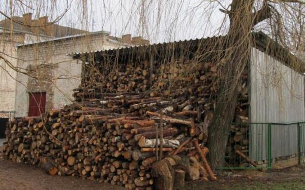 Ковельські котельні на зиму будуть забезпечені дровами