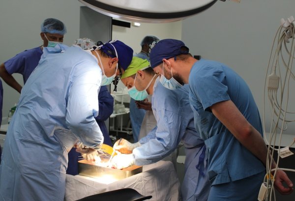 У ніч з 14 на 15 липня у Ковелі вчергове провели успішну трансплантацію серця!