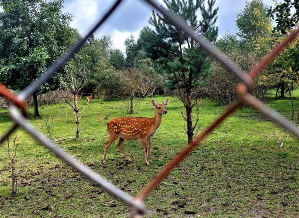 Ковельські велолюбителі протестували туристичний маршрут