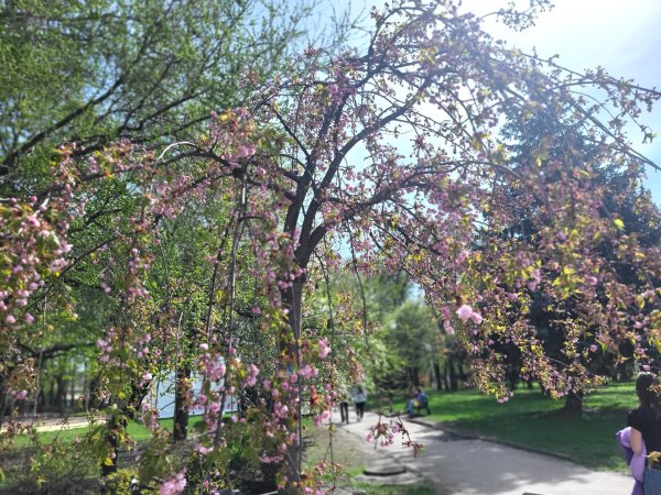 Проєкт «Крила»: у Ковелі для матерів загиблих Героїв організували майстер-клас з виготовлення весняних композицій