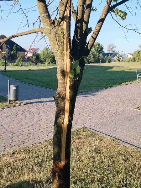 У Ковелі з’явились варвари 😡😡😡