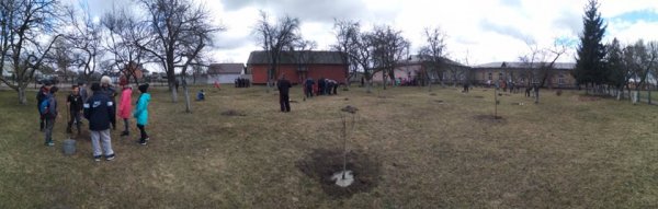 У Ковелі учні, вчителі та батьки садили фруктові дерева у шкільному саду ФОТО У Ковелі учні, вчителі та батьки садили фруктові дерева у шкільному саду ФОТО