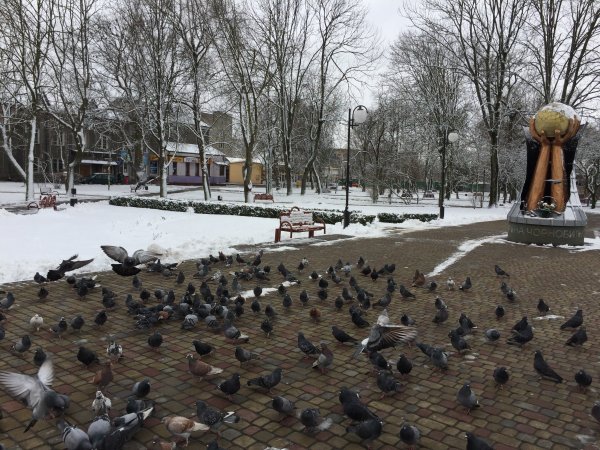 Яким був 2017 рік для ковельчан? Мовою статистики Яким був 2017 рік для ковельчан? Мовою статистики