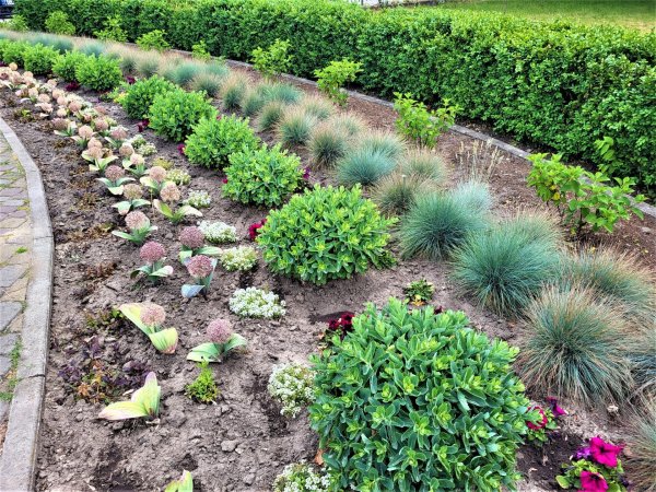 Вулиці Ковеля прикрашають квітами Вулиці Ковеля прикрашають квітами