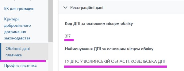Декларація ФОП 3 група за 9 місяців (ІІІ квартал) 2025 року