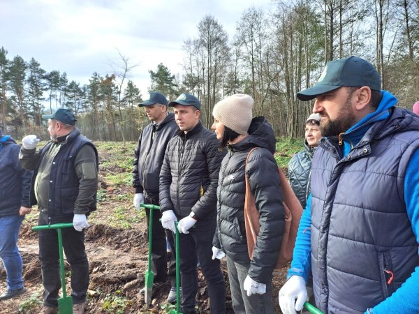 Майже 7 тисяч дерев висадили сьогодні працівники міської ради та СЛАТ «ТУР» Майже 7 тисяч дерев висадили сьогодні працівники міської ради та СЛАТ «ТУР»