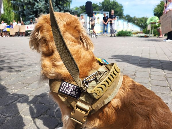 26 місяців у полоні: у Ковелі відбулася акція на підтримку захисників Маріуполя 26 місяців у полоні: у Ковелі відбулася акція на підтримку захисників Маріуполя