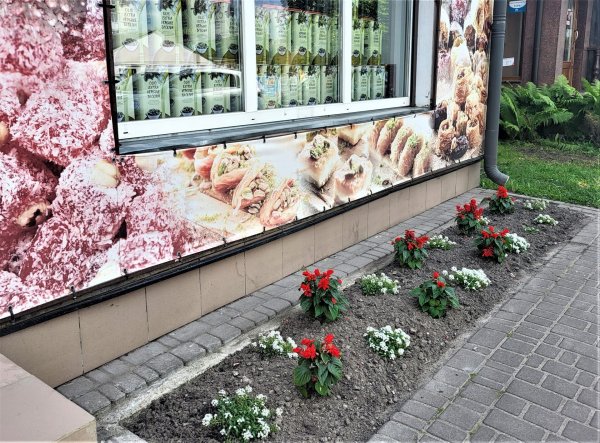 Вулиці Ковеля прикрашають квітами Вулиці Ковеля прикрашають квітами