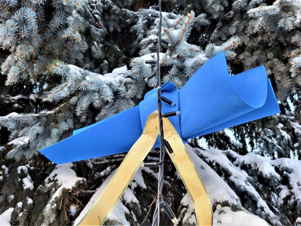 У національних кольорах: у Ковелі урочисто відкрили головну ялинку громади