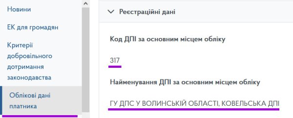 Декларація ФОП 3 група з додатком 1 по ЄСВ за 2024 рік