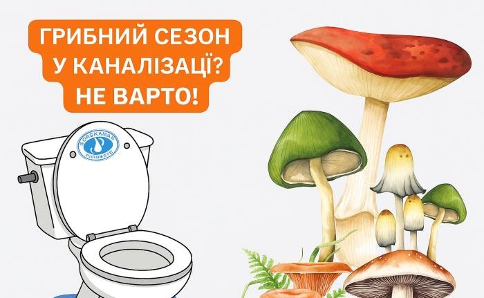 Грибний сезон у каналізації: комунальники закликають не змивати відходи до унітазу