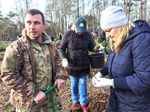 Майже 7 тисяч дерев висадили сьогодні працівники міської ради та СЛАТ «ТУР» Майже 7 тисяч дерев висадили сьогодні працівники міської ради та СЛАТ «ТУР»