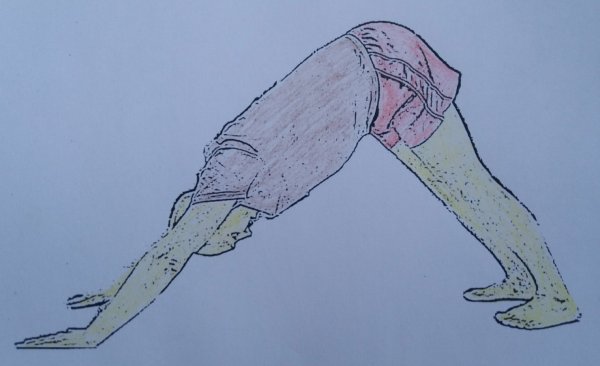 Вправи від гемороя, які ефективно вирішують причину його виникнення