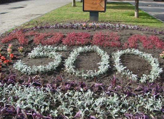 У Ковелі з'явилася клумба на честь 500-річчя Магдебурзького права У Ковелі з'явилася клумба на честь 500-річчя Магдебурзького права