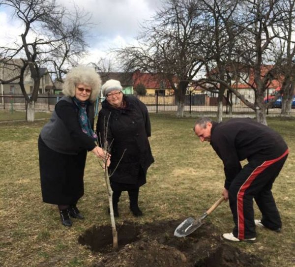 У Ковелі учні, вчителі та батьки садили фруктові дерева у шкільному саду ФОТО У Ковелі учні, вчителі та батьки садили фруктові дерева у шкільному саду ФОТО