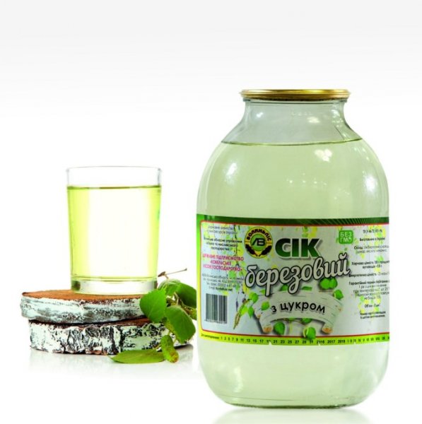 На Волині стартував сезон заготівлі березового соку. Такої пізньої заготівлі соку ще не було На Волині стартував сезон заготівлі березового соку. Такої пізньої заготівлі соку ще не було