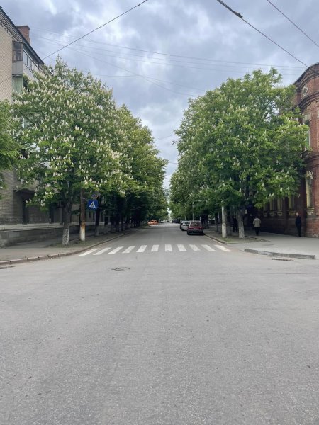 Як на фоні «лисого» Ковеля контрастує «зелений» Словʼянськ?