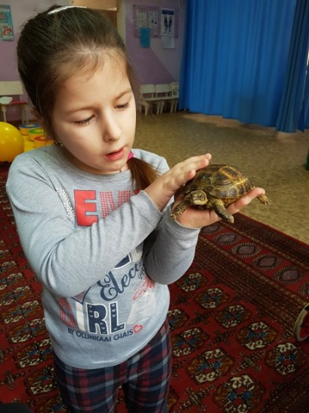 У Ковелі надаватимуть послуги дітям з особливими потребами Люблинецької ОТГ У Ковелі надаватимуть послуги дітям з особливими потребами Люблинецької ОТГ