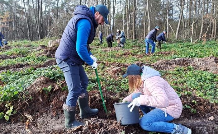 Майже 7 тисяч дерев висадили сьогодні працівники міської ради та СЛАТ «ТУР»