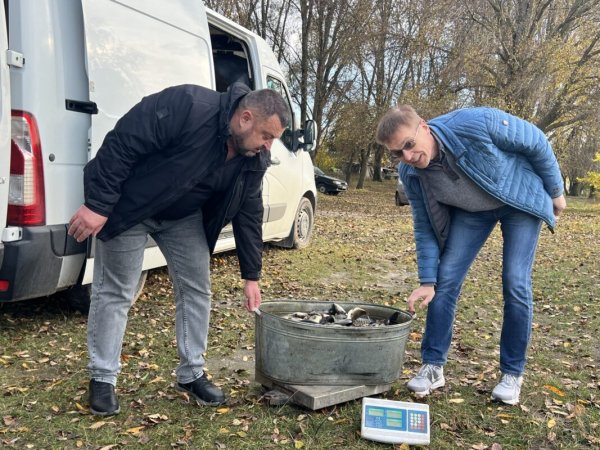 У Ковелі зарибнили водосховище коропом та білим амуром У Ковелі зарибнили водосховище коропом та білим амуром