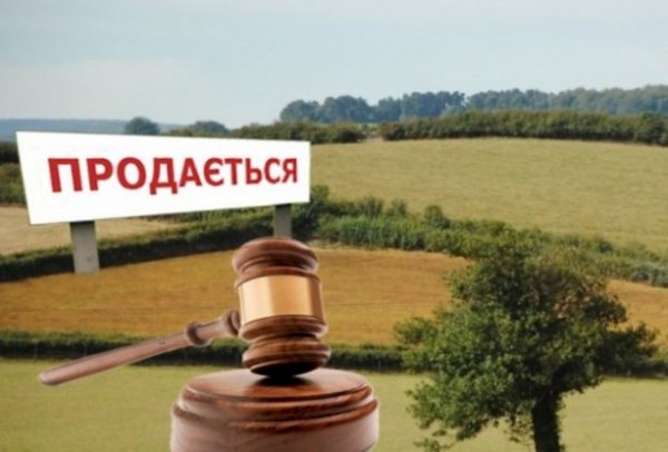 У Ковелі продали земельну ділянку для бізнесу майже за 3 мільйони гривень