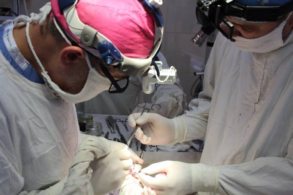 У Ковелі вкотре провели пластичні операції