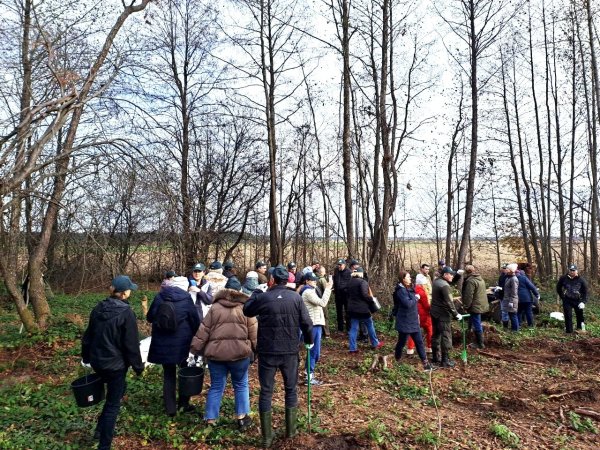 Майже 7 тисяч дерев висадили сьогодні працівники міської ради та СЛАТ «ТУР» Майже 7 тисяч дерев висадили сьогодні працівники міської ради та СЛАТ «ТУР»