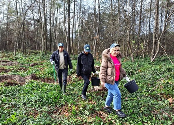 Майже 7 тисяч дерев висадили сьогодні працівники міської ради та СЛАТ «ТУР» Майже 7 тисяч дерев висадили сьогодні працівники міської ради та СЛАТ «ТУР»