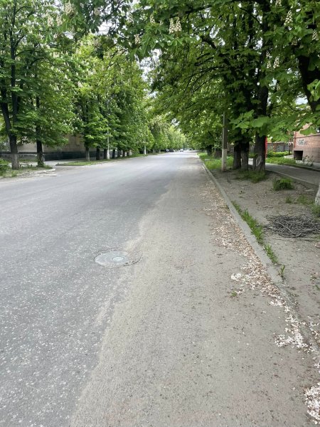 Як на фоні «лисого» Ковеля контрастує «зелений» Словʼянськ?