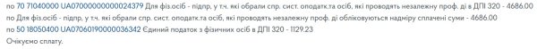 Декларація ФОП 3 група з додатком 1 по ЄСВ за 2024 рік