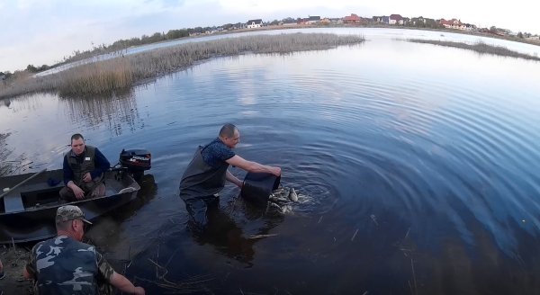 Ковельські дайвери та активісти з «Еко-Волині» і «Підводного світу» випустили у Турію 350 кг риби