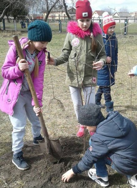У Ковелі учні, вчителі та батьки садили фруктові дерева у шкільному саду ФОТО У Ковелі учні, вчителі та батьки садили фруктові дерева у шкільному саду ФОТО