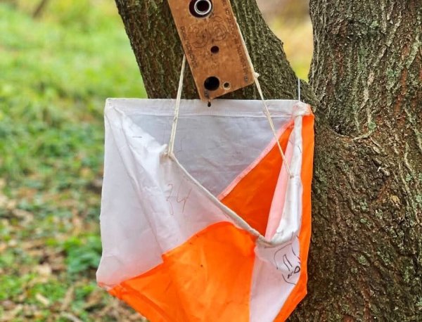 Школярі Ковеля змагалися у спортивному орієнтуванні Школярі Ковеля змагалися у спортивному орієнтуванні