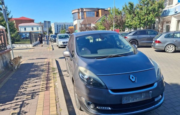 Знову не там: муніципальна варта Ковеля показала чергову підбірку порушень паркування Знову не там: муніципальна варта Ковеля показала чергову підбірку порушень паркування