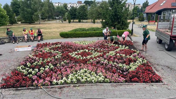 Ковельчан закликають дбайливо ставитися до міських квітників Ковельчан закликають дбайливо ставитися до міських квітників