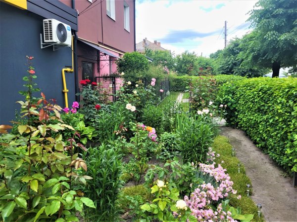 Вулиці Ковеля прикрашають квітами Вулиці Ковеля прикрашають квітами