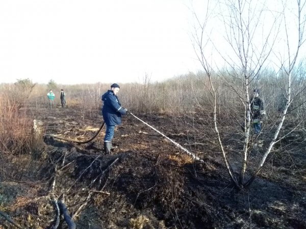 У Ковелі знову дві пожежі через спалювання сухої трави на садівничих масивах У Ковелі знову дві пожежі через спалювання сухої трави на садівничих масивах