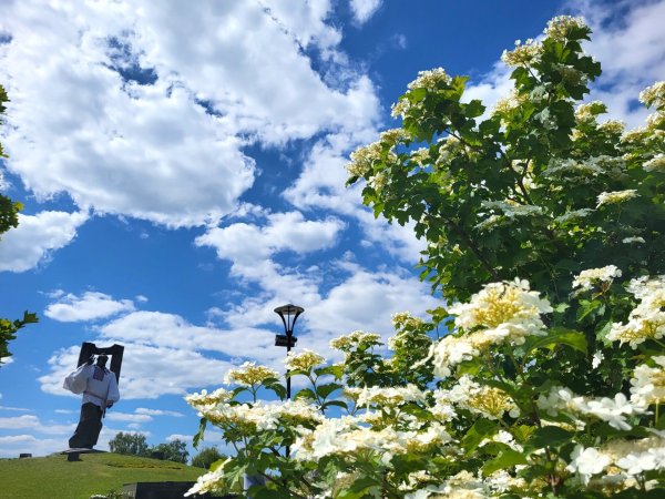 Біля пам’ятника Тарасу Шевченку у барвистих вишиванках мешканці міста створили назву «Ковель»