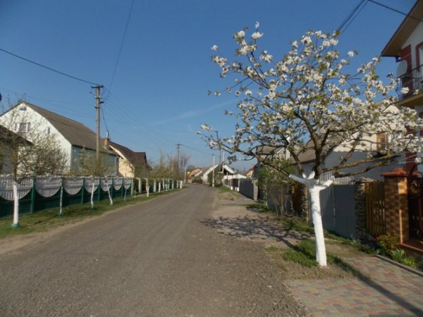 У міській раді розповіли й показали, які дороги ремонтують у Ковелі сьогодні ФОТО